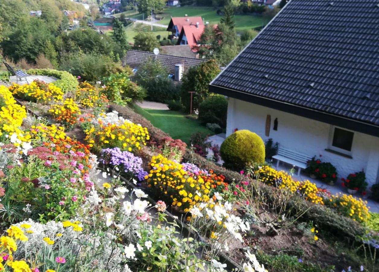 Haus Kashammer Ottenhofen im Schwarzwald Ngoại thất bức ảnh